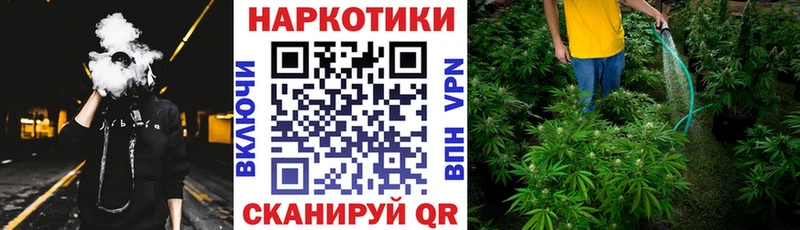 Виды наркоты Шумерля Codein  Каннабис  Меф  Гашиш  Cocaine 