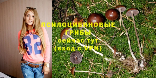 скорость Нягань