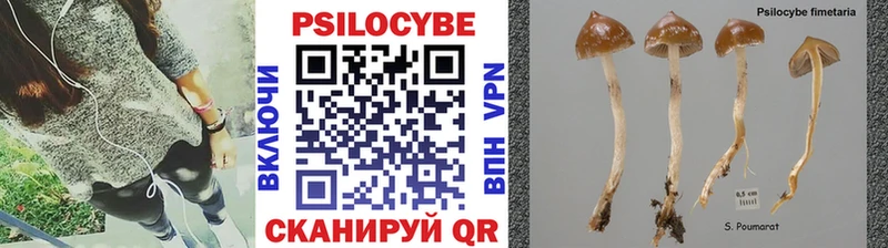 Псилоцибиновые грибы MAGIC MUSHROOMS Шумерля
