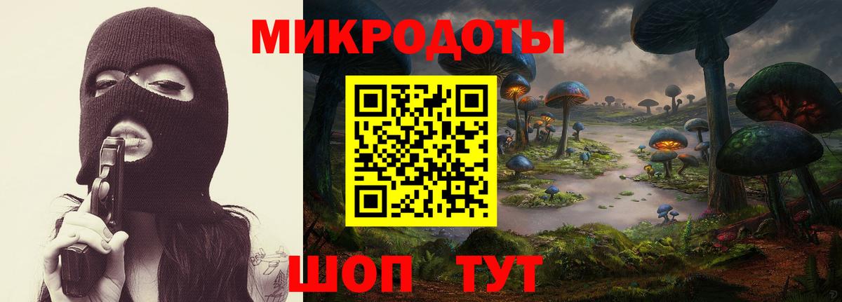 Галлюциногенные грибы Cubensis Шумерля